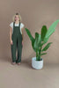 Surya Australia Ethical Classic Cotton Overalls from Nepal - Green